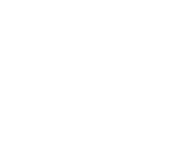 flextronics