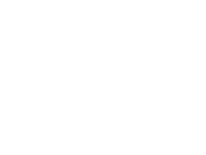 microchip